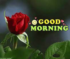 Pin On Good Morning Wishes
