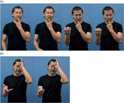Body language is a powerful tool of communication, but it isn't always instinctual. Taboos And Euphemisms In Sex Related Signs In Asian Sign Languages