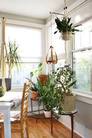 Encontrá colgantes decorativos en mercadolibre.com.ar! Decorar Con Plantas De Interior La Casa