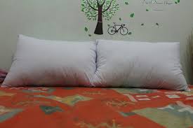 Jual bantal guling silikon isi : Jual Bantal Silikon Grosir Cek Harga Di Pricearea Com