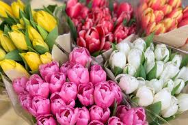 Maybe you would like to learn more about one of these? How To Create A Spring Tulip Floral Arrangement