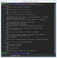 Gobuster Directory File Dns Busting Tool Written In Go Computer Setup Dns Cyber Security