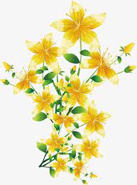 Yellow Flowers Vector Flowers Yellow Flowers Spring Illustration
