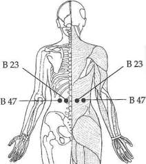 9 Potent Acupressure Points To Cure Men Erectyle Dysfunction