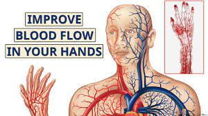 How To Increase Blood Flow To Hands And Fingers - By Dr Sam Robbins -  Youtube