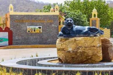 Nahargarh Biological Park wilderness gateway, AI generated