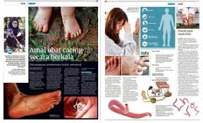 It's a platform to ask questions and connect with people who contribute unique insights and quality answers. Amal Ubat Cacing Secara Berkala Fakulti Perubatan Veterinar