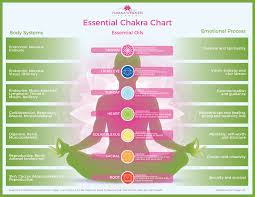 Essential Chakra Chart Havana Wellness Studio
