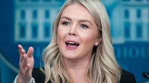 3 entrepreneurs in the running for Hawaii House seat