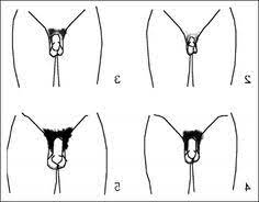 What should men do with pubic hair? 12 Shaving And Grooming Sets Ideas Shaving Grooming Shaving Bikini Trimmer