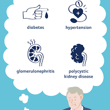 A renal disease can be attributed to a variety of causes which, include genetics, injuries and medicine. Chronic Kidney Disease Causes And Risk Factors