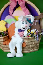 The easter bunny have a reliable cuckoo bird who delivers the painted eggs in switzerland. Bucks County Easter Guide 2021 Bucks Happening