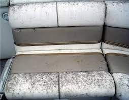 In addition to using vinegar and water, you can try to use vinegar and baking soda. How To Remove Mold Mildew From Boat Seats Boatlife