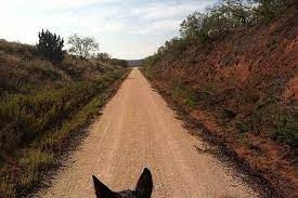 The time now provides accurate (us network of cesium clocks) synchronized time and accurate time services in plainview, texas, united states. Plainview Texas Trails Trail Maps Traillink
