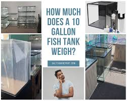 When using this aquarium calculator, you. How Much Does A 10 Gallon Fish Tank Weigh Salt Tank Report
