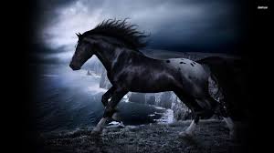 We did not find results for: Black And White Horse Wallpapers Top Free Black And White Horse Backgrounds Wallpaperaccess