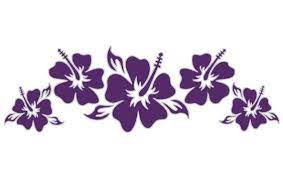 Classic Hibiscus Flowers Hibiscus Flowers Hibiscus Flower Graphic Design