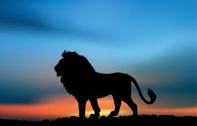 Chapter Nineteen Silhouette Painting Lion Painting Lion Silhouette