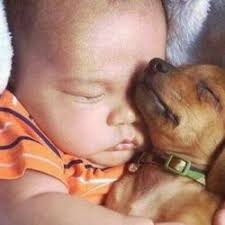 Jerry Davison (cartooner)