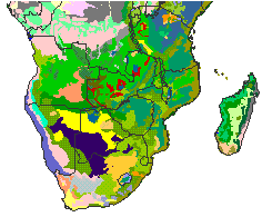 Stretching latitudinally from 22°s to 35°s and longitudinally from 17°e to 33°e, south africa's surface area. Unesco Aetfat Unso White S The Vegetation Of Africa