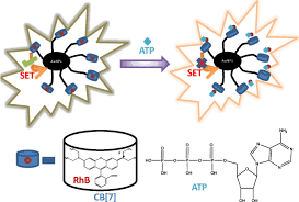 So, other than your usual source of incomes, where else you can park your money and get a higher return? Nanosensing Of Atp By Fluorescence Recovery After Surface Energy Transfer Between Rhodamine B And Curcubit 7 Uril Capped Gold Nanoparticles Springerlink