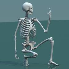 The 3d Model Available Here Http Steplont Blogspot Com 2016 06 The 3d Character Available Here Httpswww 2 Human Skeleton Human Skeleton 3d Human Anatomy Art