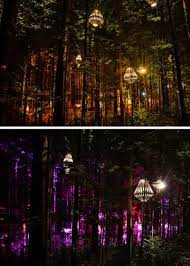 Sculptural Lights By David Trubridge Have Been Added To A Treewalk In New Zealand David Trubridge How To Make Light Landscape Lighting