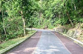 Check spelling or type a new query. Bukit Kiara A Haven For Nature Lovers The Star