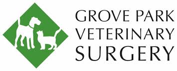 Advice on nutrition and weight management. Veterinary Surgeries In London