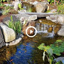 We did not find results for: Water Gardens 101 Learning Center The Pond Guy