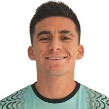 Estadísticas Andrés Becerra, Tigres de Álica