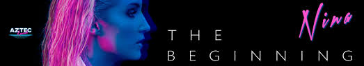 This is derek bum remixed! Synthian The Remixes Nina