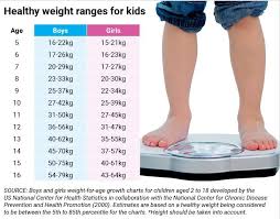 School Obesity Test A Weighty Issue Sunshine Coast Daily