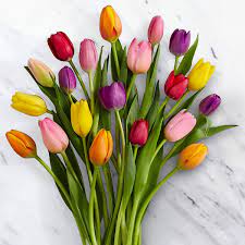 544,738 botanical flowers premium high res photos. Online Flowers