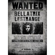 Mightyprint Harry Potter Wanted Bellatrix Lestrange Graphic Art Print Wayfair In 2020 Harry Potter Printables Harry Potter Poster Harry Potter Bday