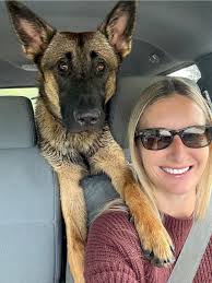 Koda the dog gets a spa day makeover