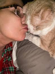 Letting go of a beloved pet is never easy