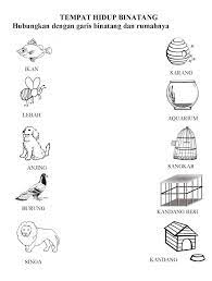 Redshopdhea.blogspot.com i m happy now in paud lks lembar kerja siswa tema. I M Happy Now In Paud Lks Lembar Kerja Siswa Tema Binatang Animal Theme Worksheet