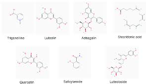 Image result for Momordica cardiospermoides