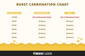 The Definitive Guide To Force Carbonating Your Beer