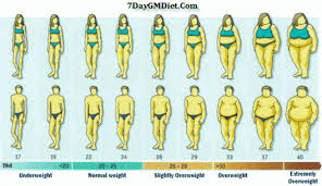 Healthy Bmi Index Ideal Weight Chart
