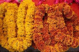 Flowers needed for an indian wedding is the complete reference guide for the bride to be and a wedding planner! Combining English And Indian Wedding Traditions Leez Priory