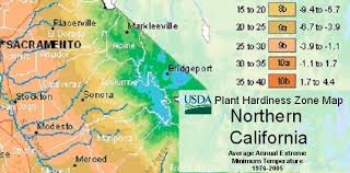 Maybe you would like to learn more about one of these? Elevation Specific Gardening Mymotherlode Com