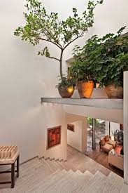 Decoracion con plantas de interiores | miriam mimesis. Decoracion Con Plantas 70 Fotos Y Consejos De Interiores Verdes