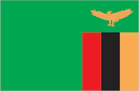 The World Factbook World Geography Zambia Flag Zambia Africa
