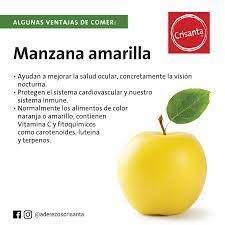 Aderezos Crisanta Las Manzanas Amarillas Son Ricas En Antioxidantes Poseen Gran Cantidad De Vitamina E Y Vitamina C Son Ricas En Fibra Y Mejoran El Transito Intestinal Ademas De Tener Un