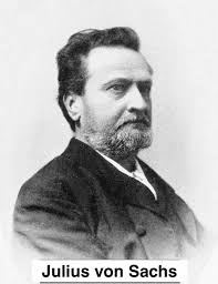 1. Details of Module and its structure Module Detail Subject Name Biology  Course Name Biology 02 (Class XI, Semester