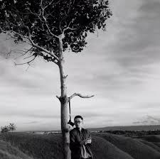 Desain awal taman dan posisi gazebo di flaurent salon & spa seturan. Cdams Photography Posts Facebook