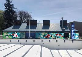 Stream swimming pool by ty on desktop and mobile. Colfax Swim Pool Will Get Wall Murals Whitman County Gazette