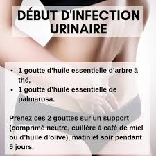 Epingle Sur Huiles Essentielles